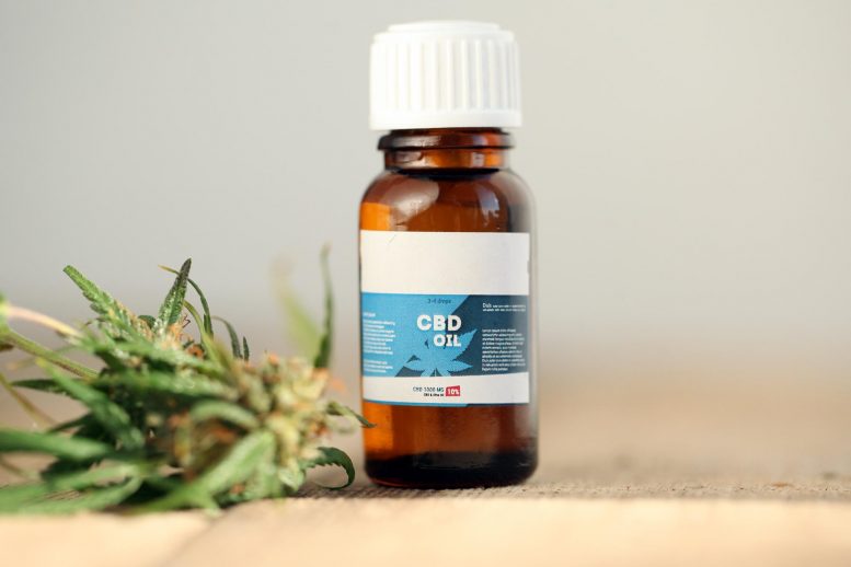 best cbd for knee pain